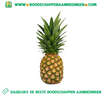 Ananas aanbieding