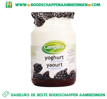 Campina Yoghurt op fruit braam aanbieding