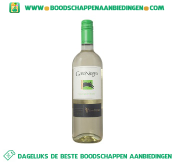 Gato Negro sauvignon blanc aanbieding