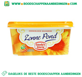 Gouda’s Glorie Zonne Pond aanbieding