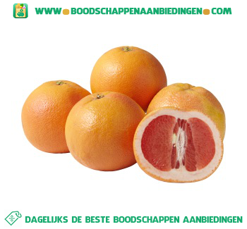 Grapefruit aanbieding