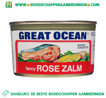 Fancy rose zalm aanbieding