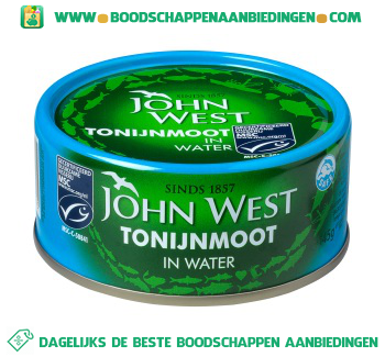 Tonijnmoot in water aanbieding