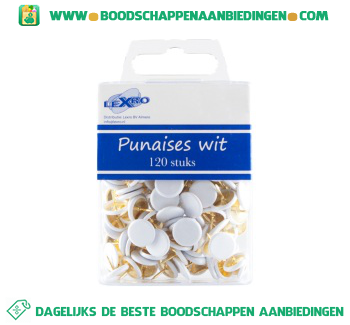 Punaises wit aanbieding