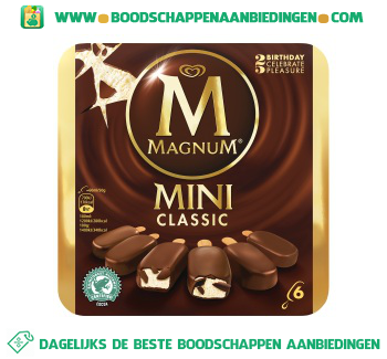 Magnum IJs mini classic aanbieding