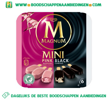 Magnum IJs mini pink & black aanbieding