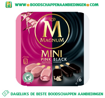 IJs mini pink & black aanbieding