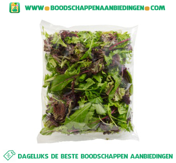 Rucola melange aanbieding