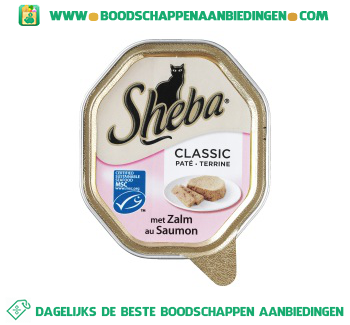 Sheba Pate met zalm aanbieding